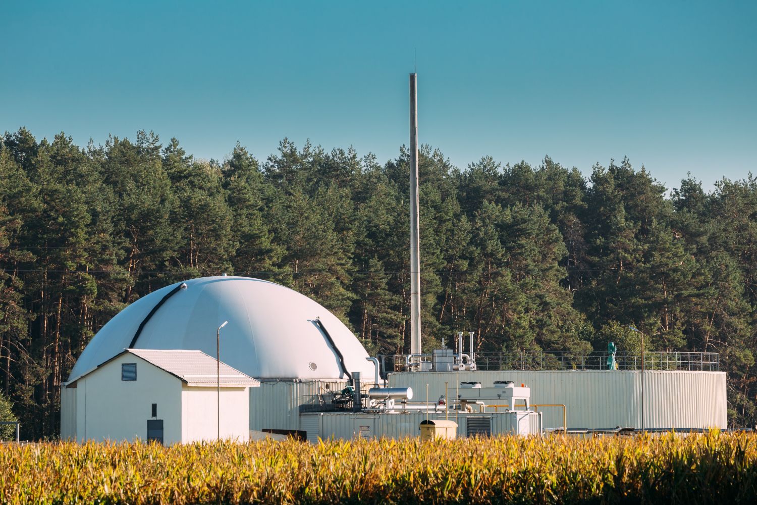 Biomass energy
